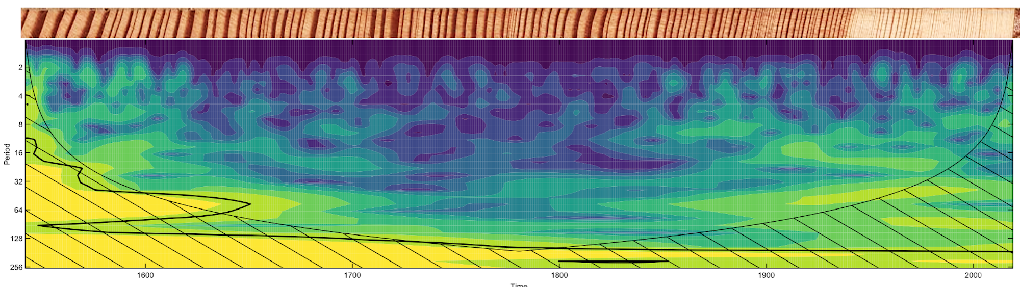 dendro-wavelet