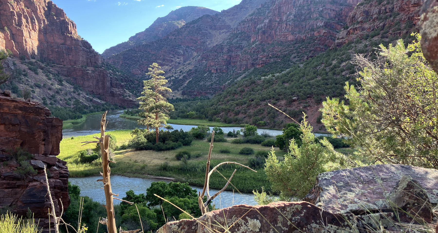 Green River Ponderosa Expedition